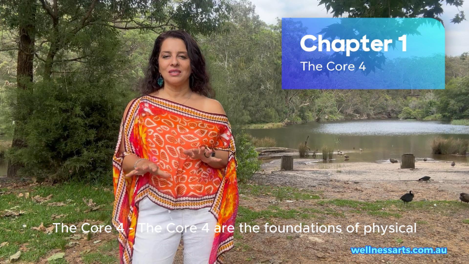 Chapter 1: The Core Four - Wellness